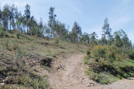 Paragem 2