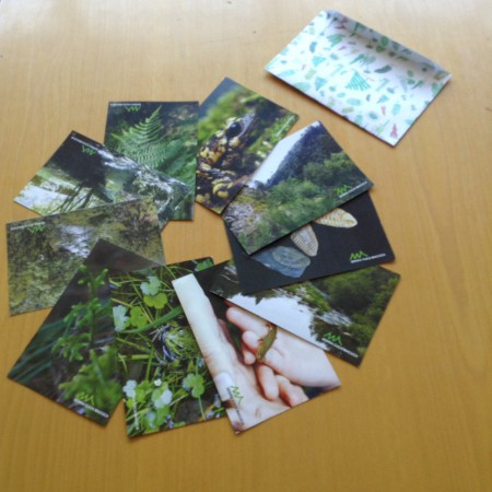 Coleção de 10 postais evidenciando aspetos faunísticos, florísticos e geológicos da serra Cuca Macuca